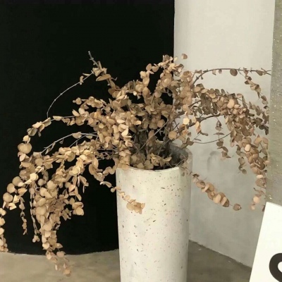 兽设零基础绘画教程FurryQQ群